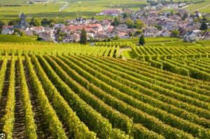 WhatsApp Image 2025 10 31 a 16.20.57 5a000444