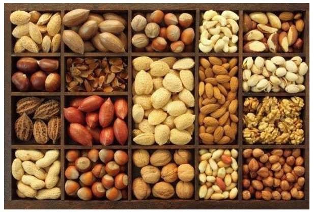 Association de Pneumo-Pédiatres InterRégionale 21 fruits-a-coques